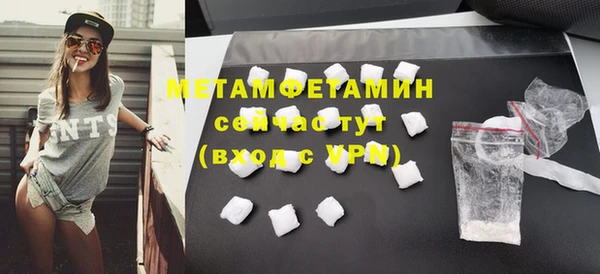 прущие грибы Козловка