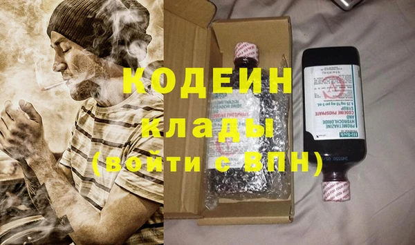 индика Кодинск