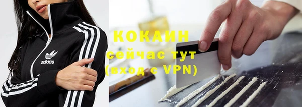 индика Кодинск