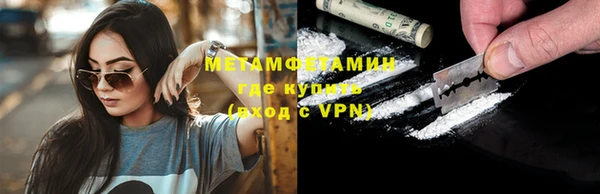 прущие грибы Козловка