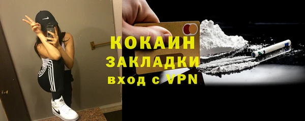 прущие грибы Козловка