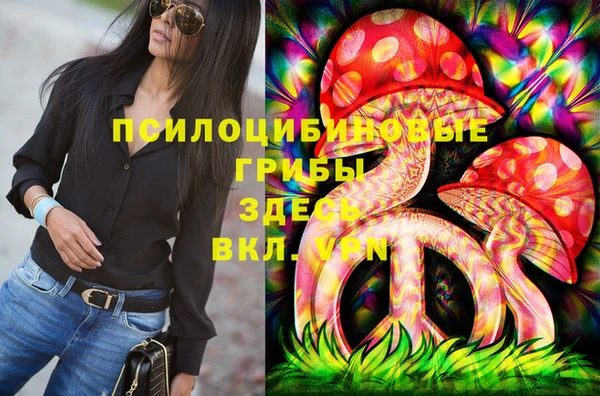 прущие грибы Козловка