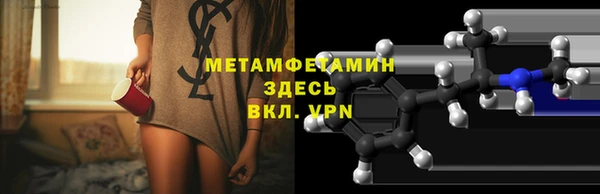 прущие грибы Козловка