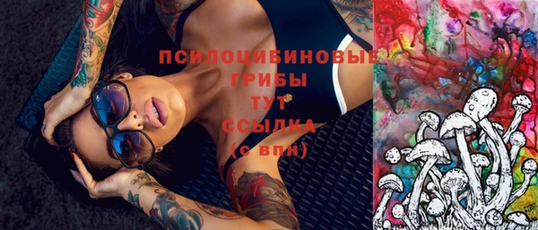 прущие грибы Козловка