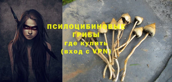 индика Кодинск