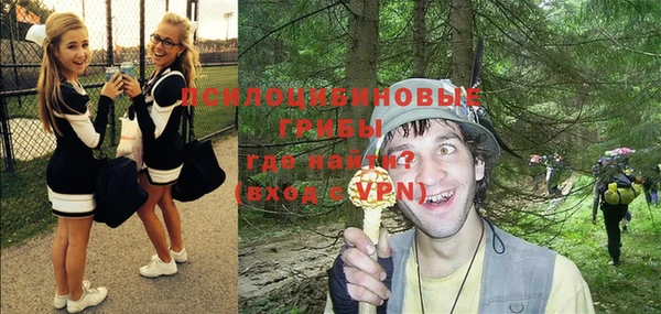 прущие грибы Козловка
