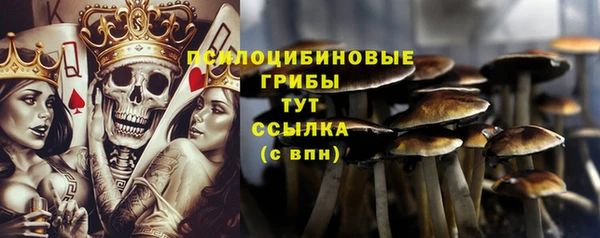 герыч Козельск