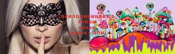 прущие грибы Козловка