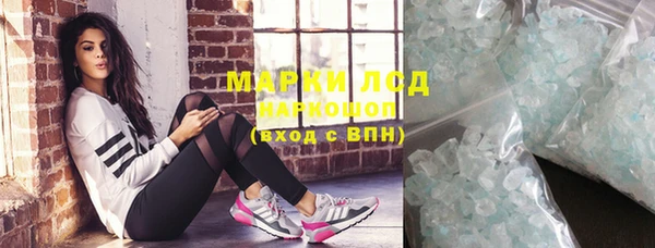 прущие грибы Козловка