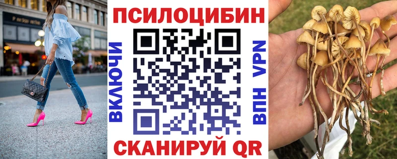 Купить  Михайлов  Псилоцибиновые грибы Cubensis 