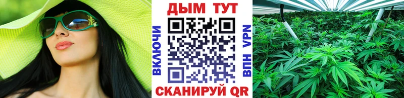Марихуана THC 21%  Купить где  Михайлов 